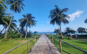 Magia del Pacífico: Guapi e Isla Gorgona- 4 días