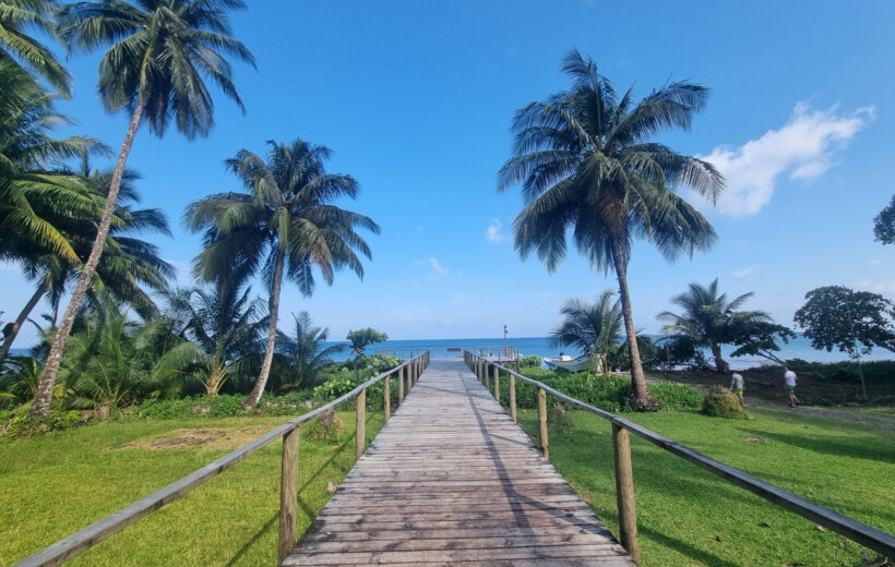 Magia del Pacífico: Guapi e Isla Gorgona- 4 días